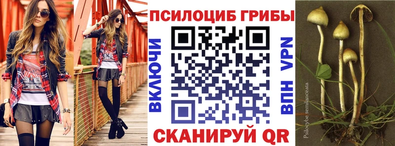 Галлюциногенные грибы MAGIC MUSHROOMS  закладка  Ковров 